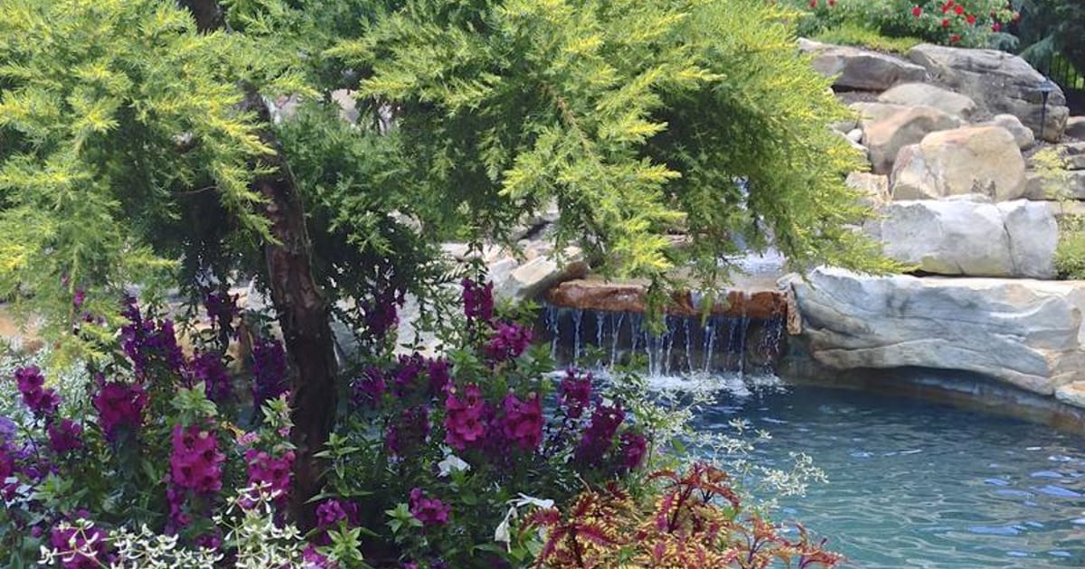 Wallace Gardens Suwanee, GA, Wallace Gardens about.me