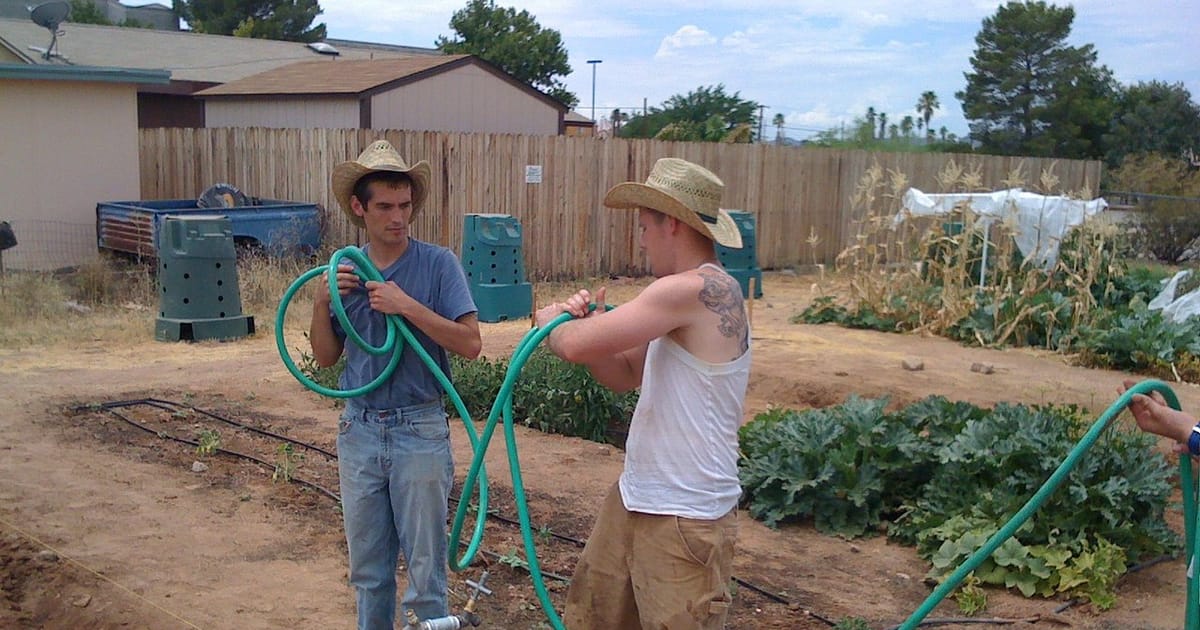 Burning Tree West Tucson, Arizona about.me