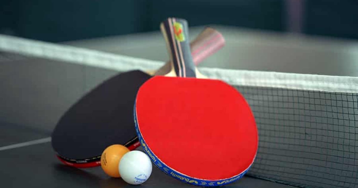 Ping Pong Expert the United States about.me