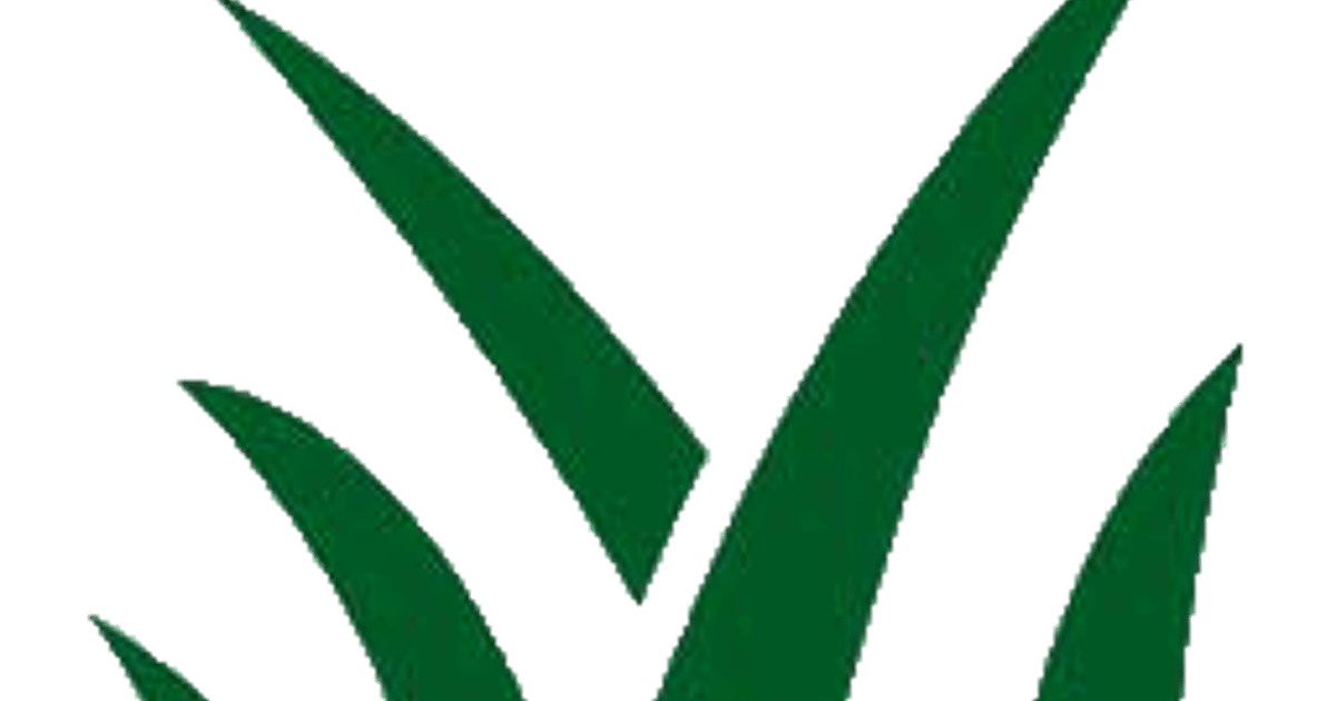 Cupertino Artificial Grass USA about.me