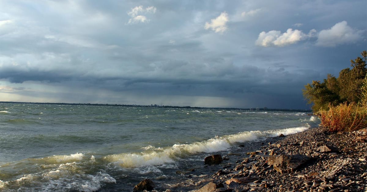 Gord Campbell Harrowsmith, Ontario, Canada about.me