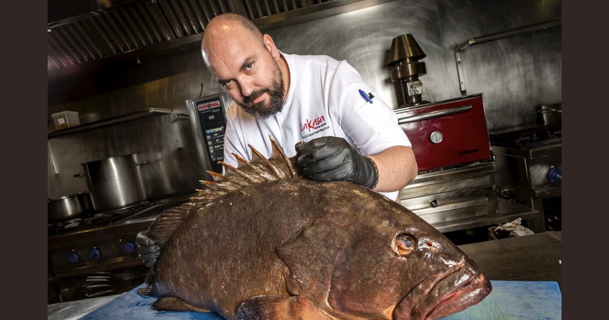 César Martín Madrid, España about.me