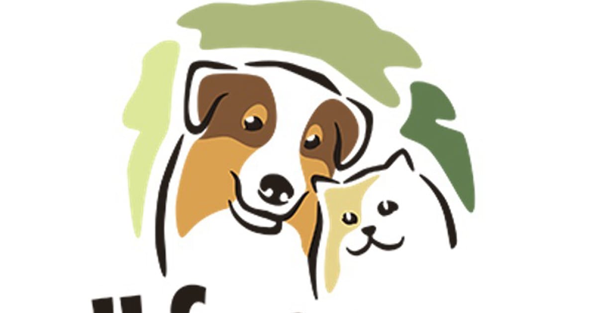 All Fur Paws Edmond, Oklahoma about.me