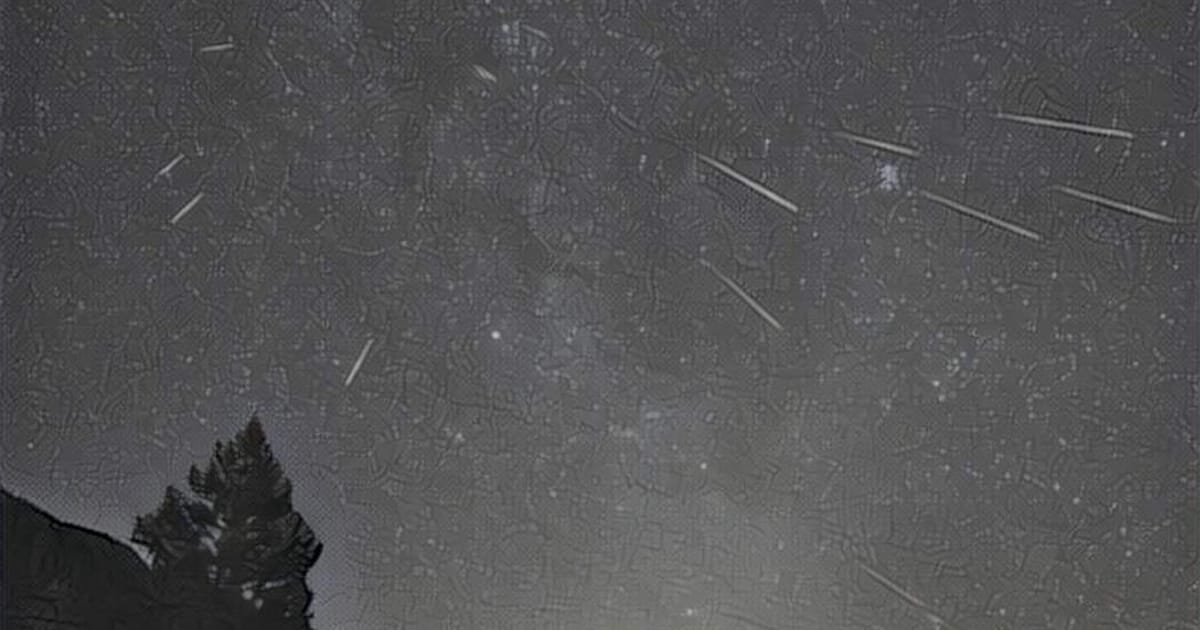 David Woodruff Alameda, California, Apple Inc., Abbott Diabetes Care