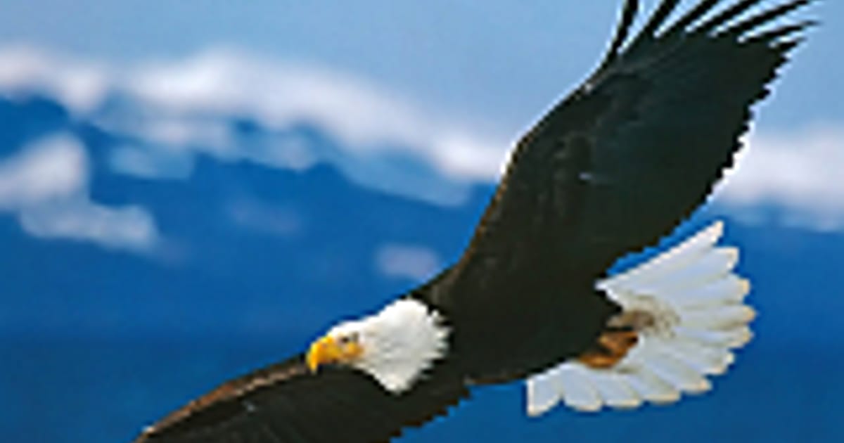 Eagle Exteriors Rochester, New York about.me