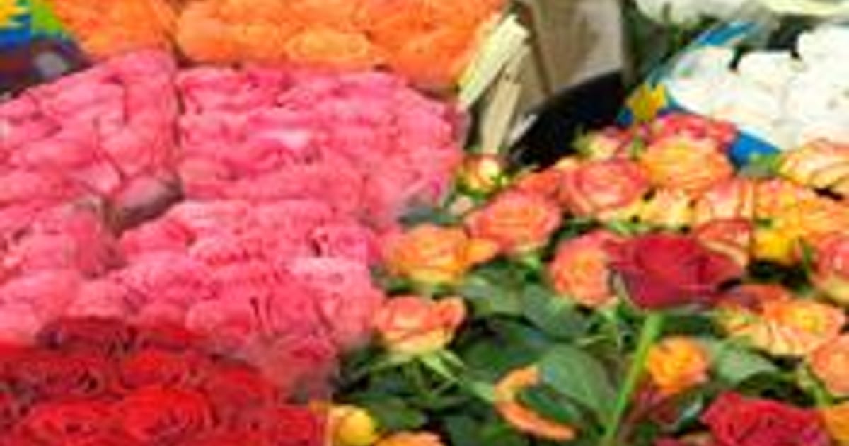 Polly Bayer Floresville, Texas, Floresville Flower Shop about.me