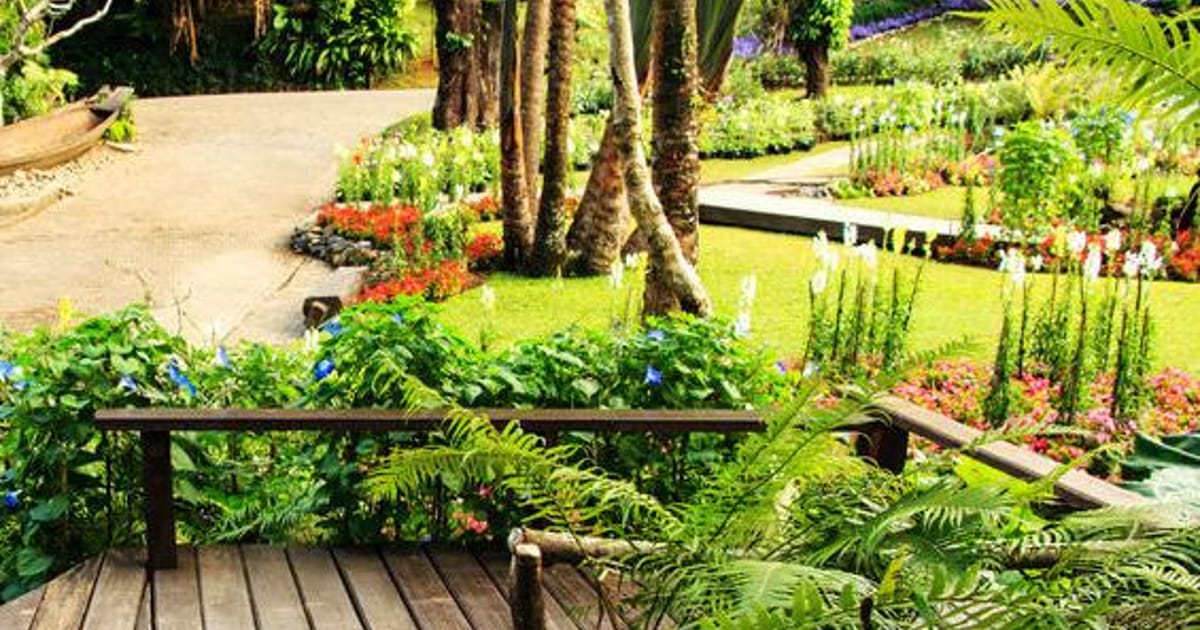 Elizabeth Holk Wellington, Ohio, Hook's Greenhouse &Farm Market