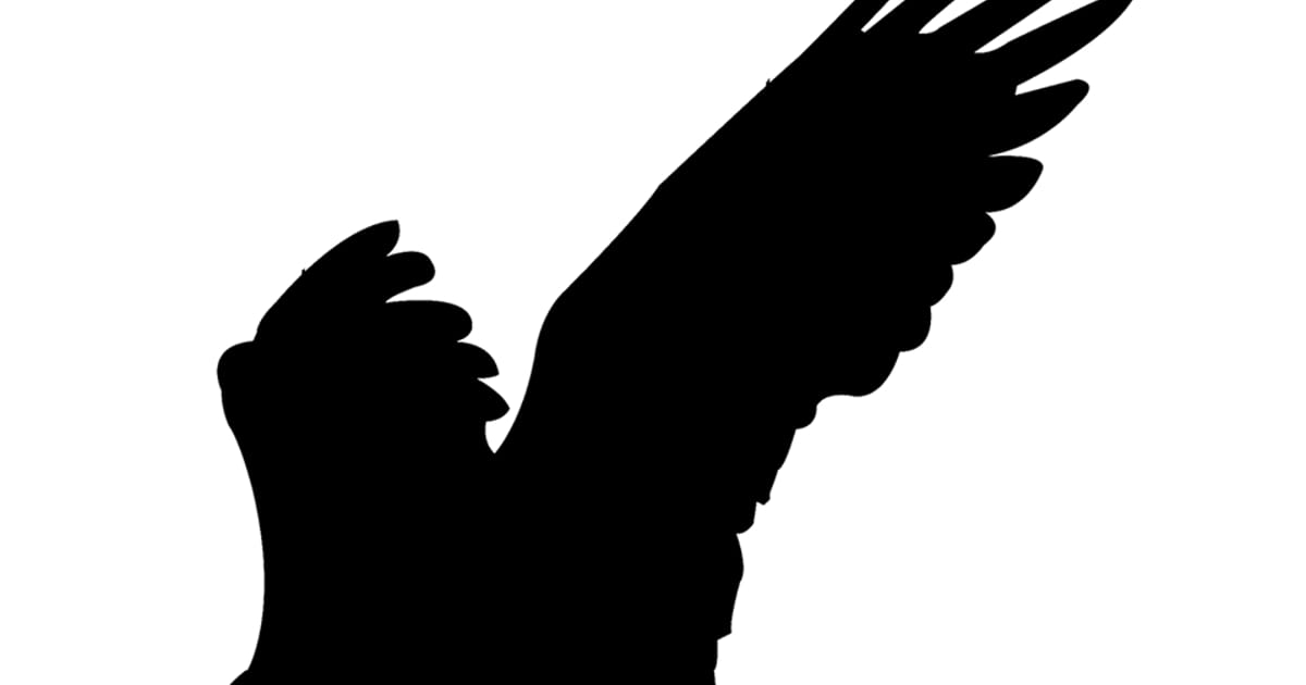 Old Marsh Wells, Maine about.me