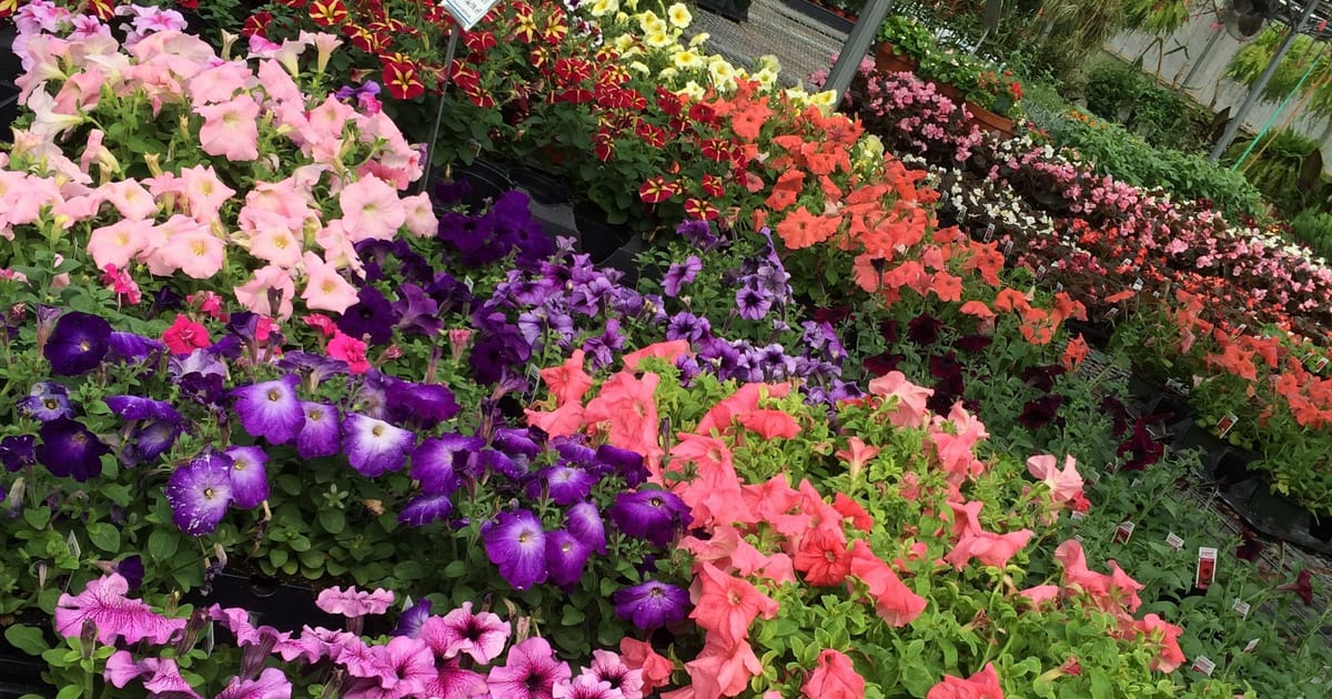 Rick Wittmer Valparaiso, Indiana, WRF Nursery & Garden Center about.me