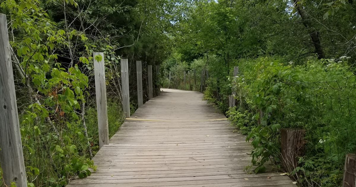 Patrick Maki Duluth, MN about.me