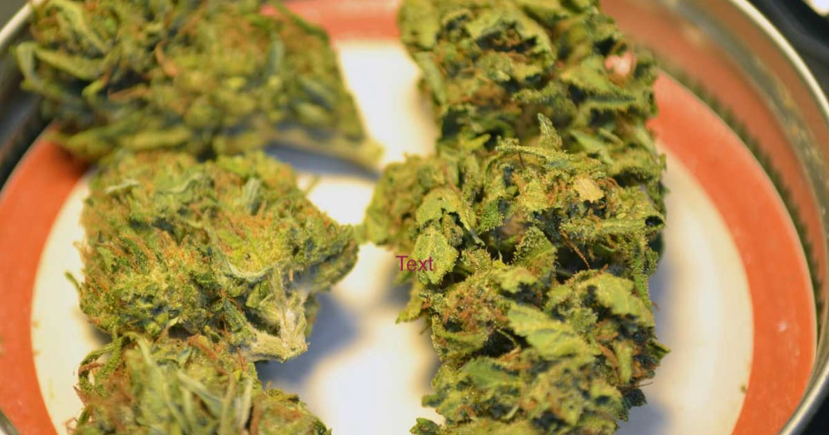 Quality THC Portal San Francisco, CA about.me