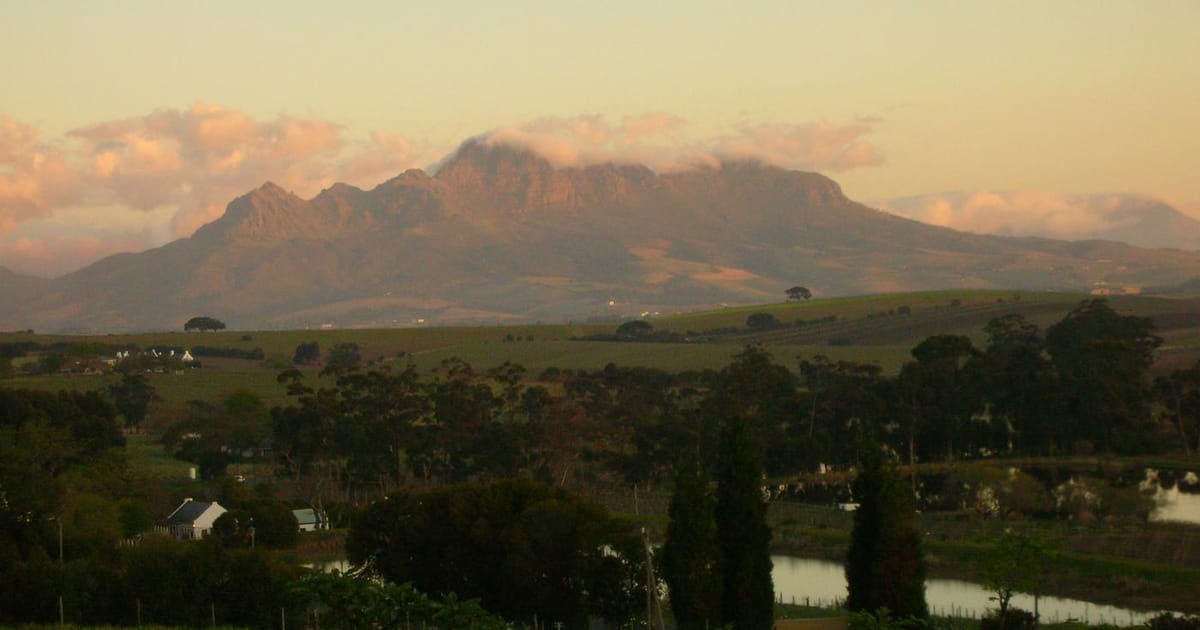 Whitney Blake Movies and TV Shows: Why This TV Icon Still Matters