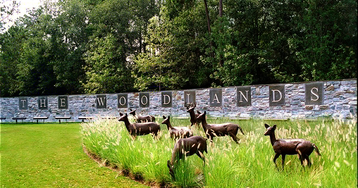 The Braden Family The Woodlands, Texas about.me