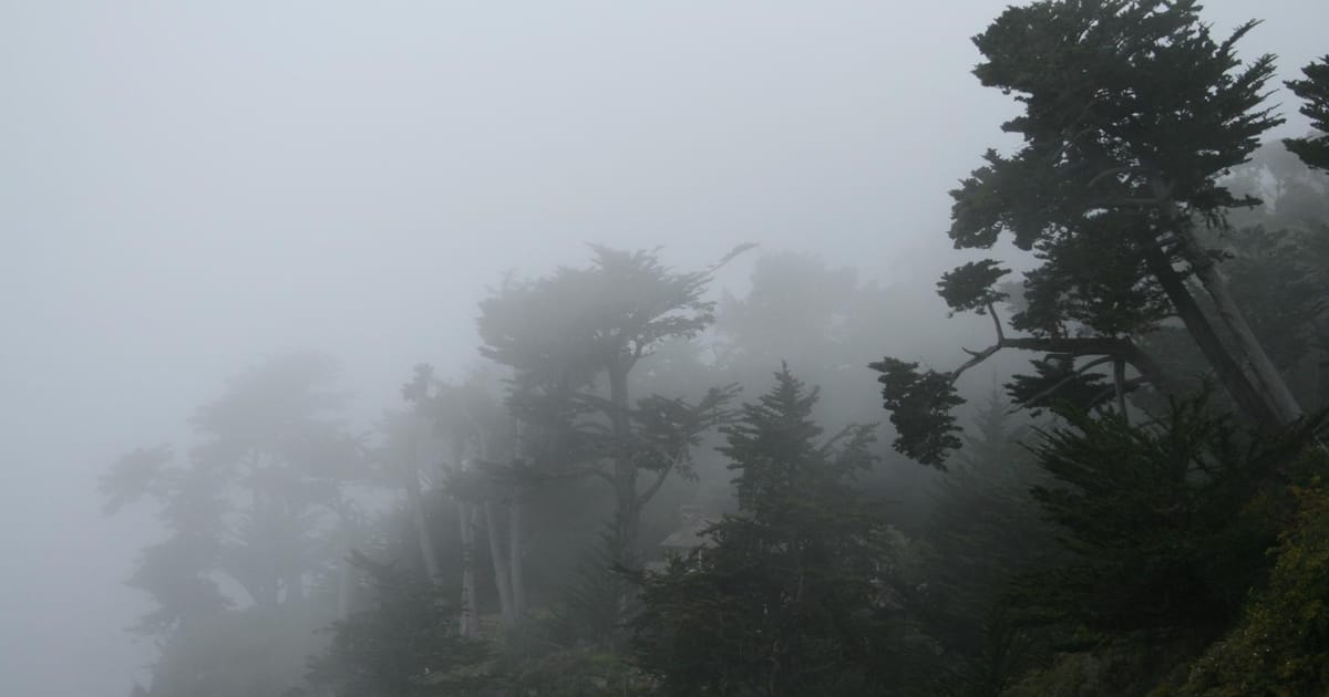 Keith Adler Los Angeles, California, Capo Valley High School, Cornell