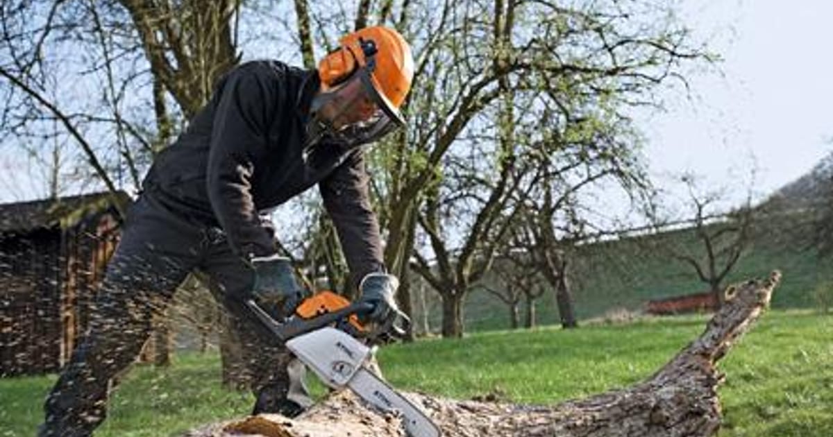 Dermot Casey Chainsaw Cork, Ireland about.me