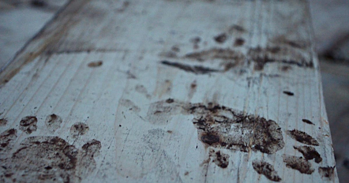 Maurer Dobie, Ontario, Canada, Canadian Malartic Corporation