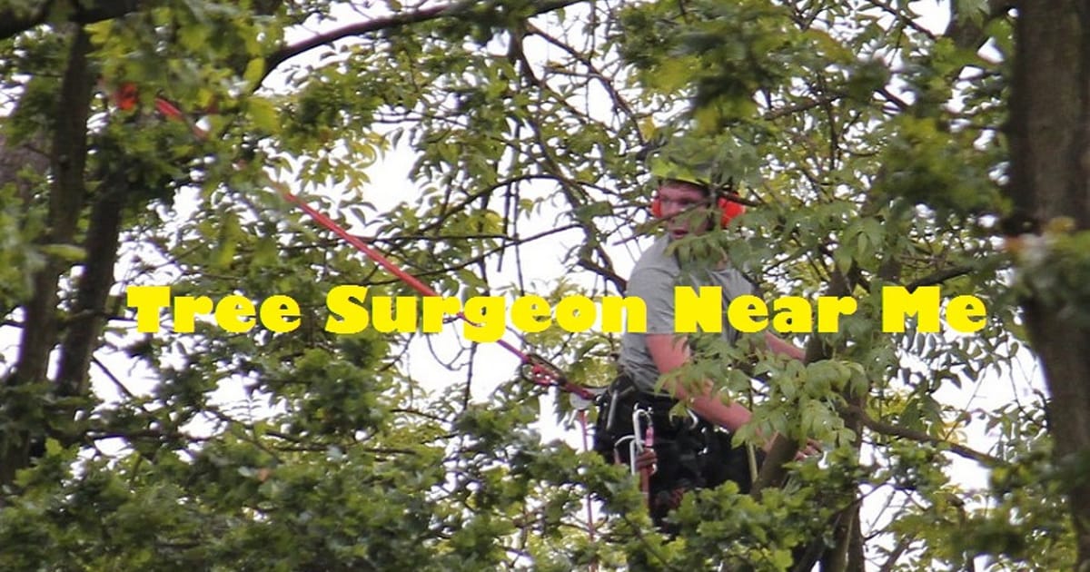 Tree Surgeon Near Me the United Kingdom about.me