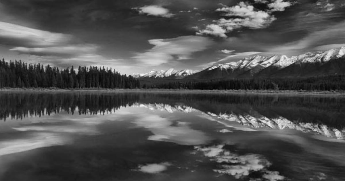 Andrew J. Hoffman about.me