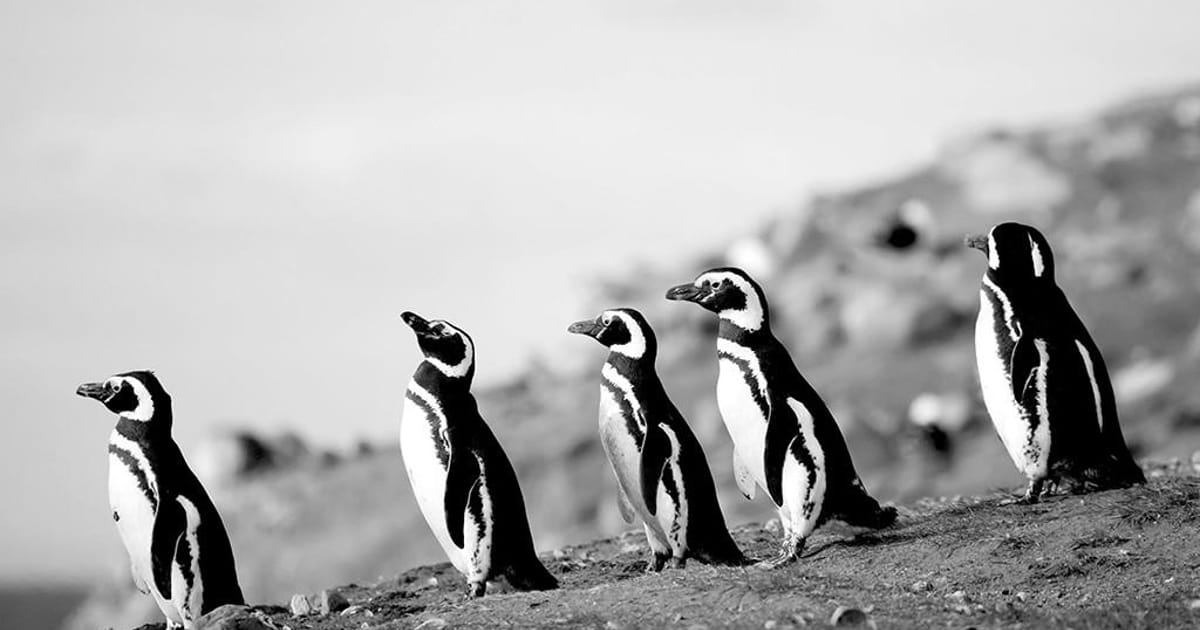 Jason Lee Collins - Palo Alto, California, esiemi.com ...