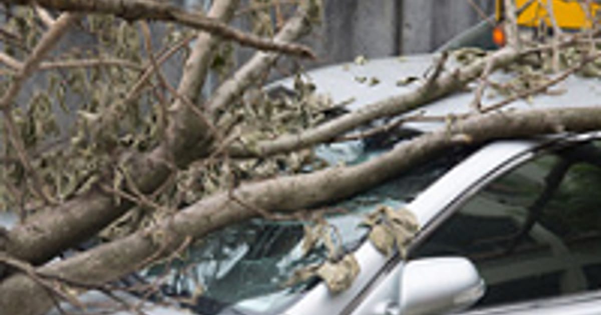 Jane Fields North Augusta, South Carolina, Fields Insurance Agency