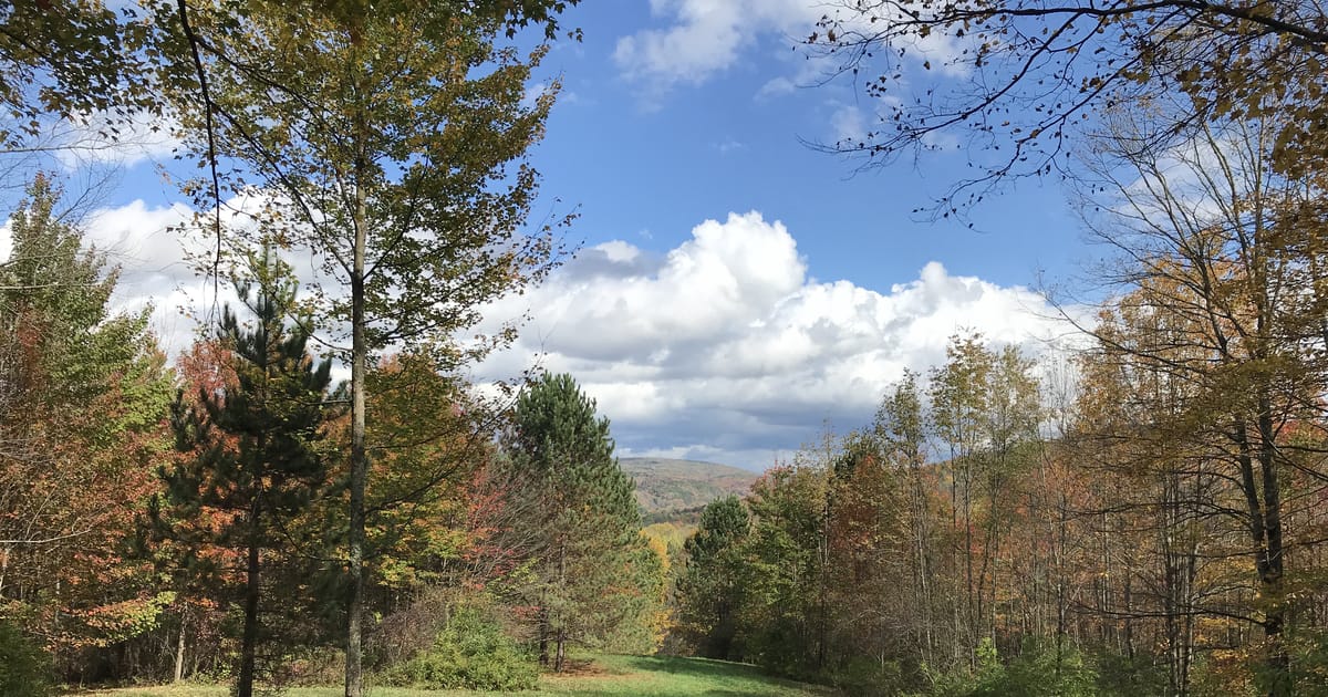 Kurt Seitz Cottekill, New York, Artful Trails, Master of Regional Planning, Bachelor of