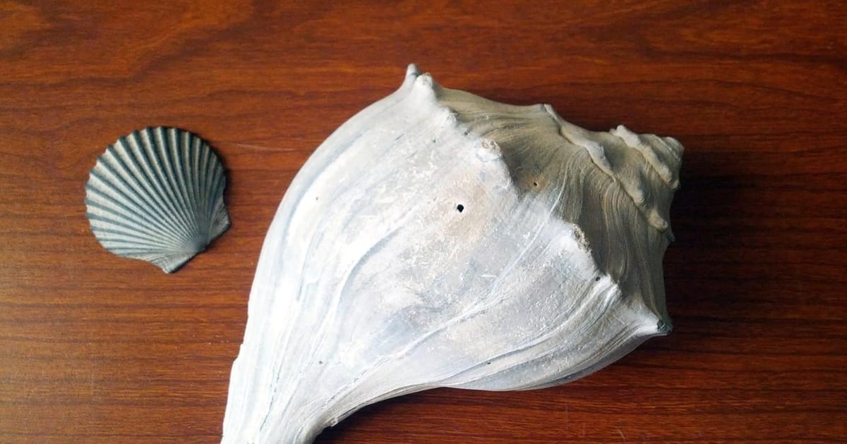 Newport Notary Jersey City, New Jersey about.me