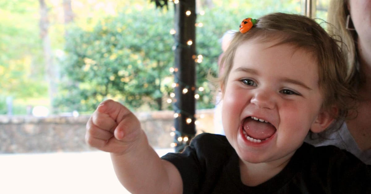 Allan Branch Panama City: Why Local Government Just Got Weird (In a Good Way)