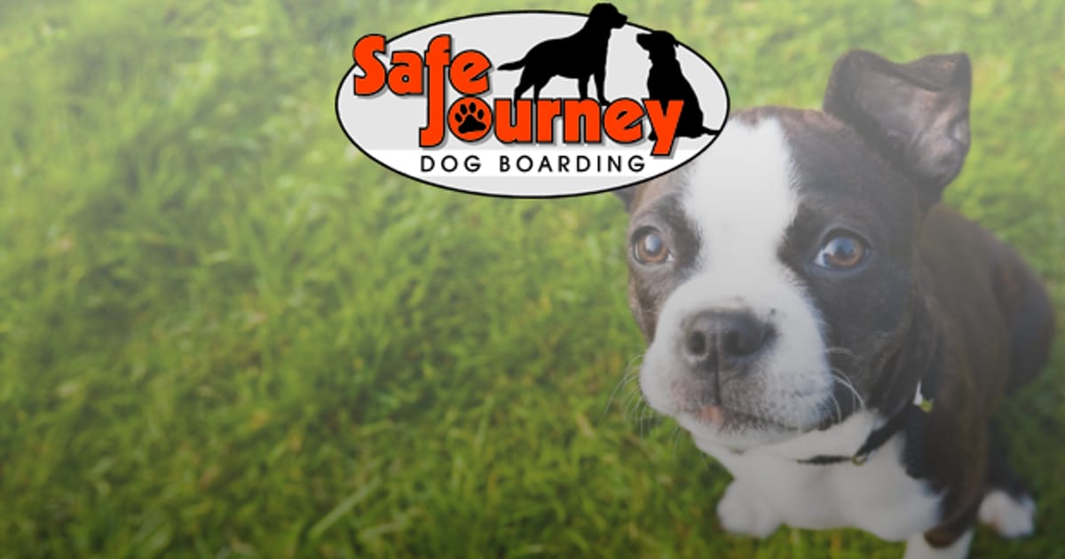 safe journey dog boarding portland