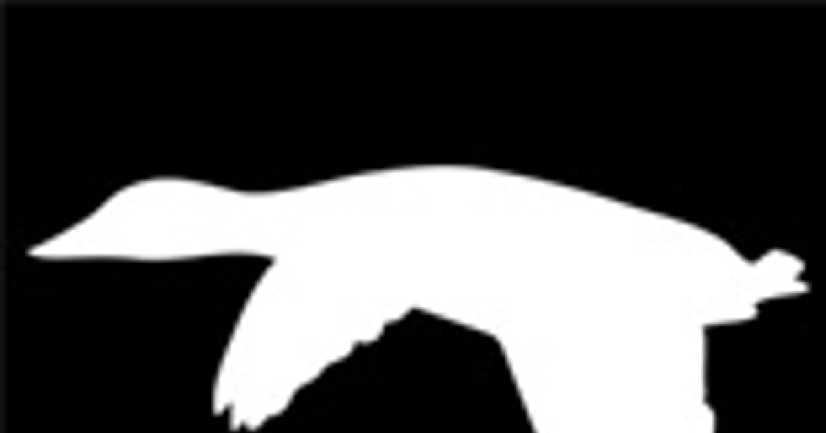 DNW Outdoors Jonesboro, AR about.me