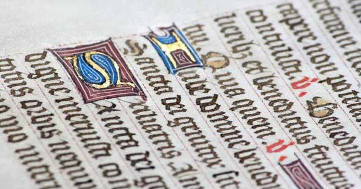 Larisa Grollemond Los Angeles, California, New York University