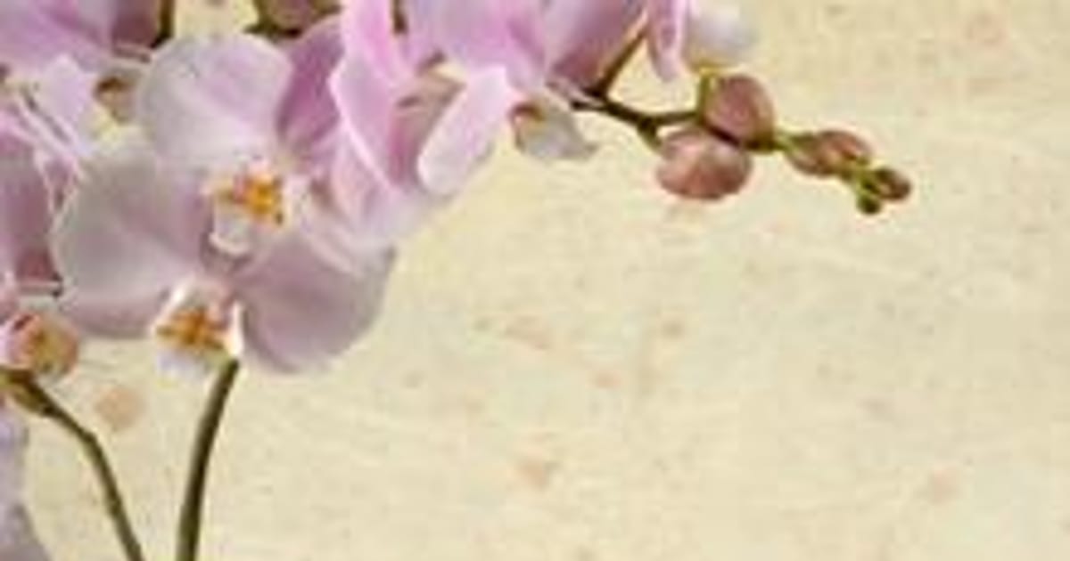 Margaret Taylor Ipswich, Massachusetts, Nails Etc. Day Spa about.me