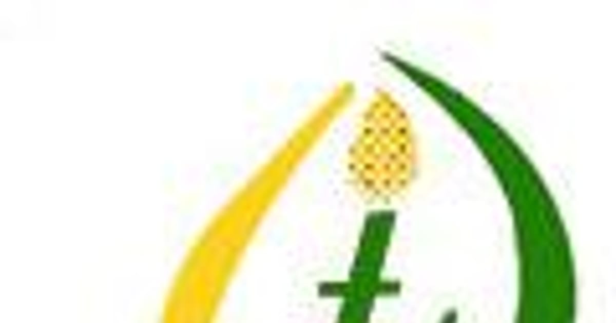 Tashkent Industrial Oil Corporation Surat, India about.me