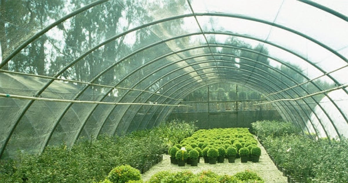 Viveros Monterrey Monterrey, Nuevo León, Mèxic about.me