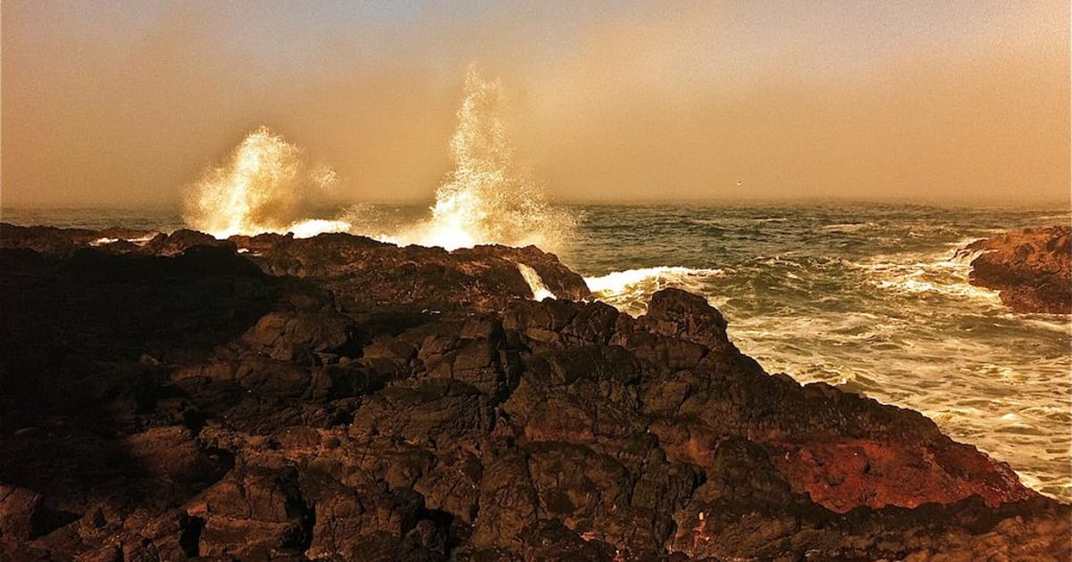 Andrew Bristow Raritan, NJ, Johnson & Johnson, Princeton University