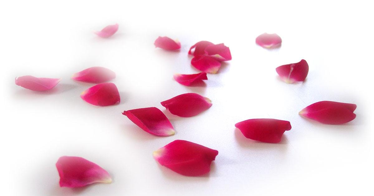 Cheryl Norman About Me