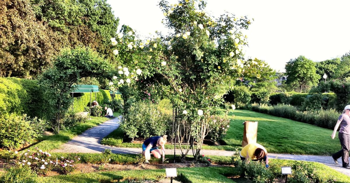 Emerald Necklace Conservancy about.me