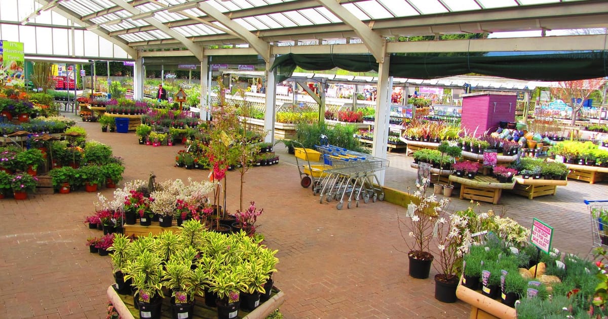 Glebe Garden Centre Leicester, Countesthorpe, Leicestershire about.me
