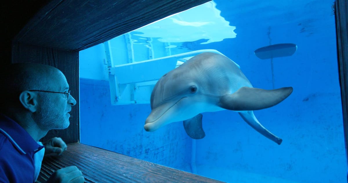 Kevin Carroll Paid in Full: The Role That Defined the Early 2000s Street Classic