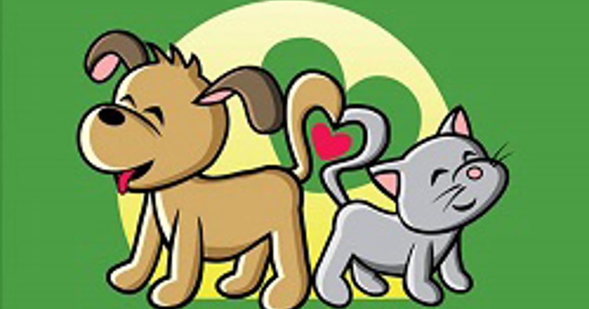 Abbeyards Boarding Kennels 6 John Rogers Rd Mudgeeraba, QLD 4213