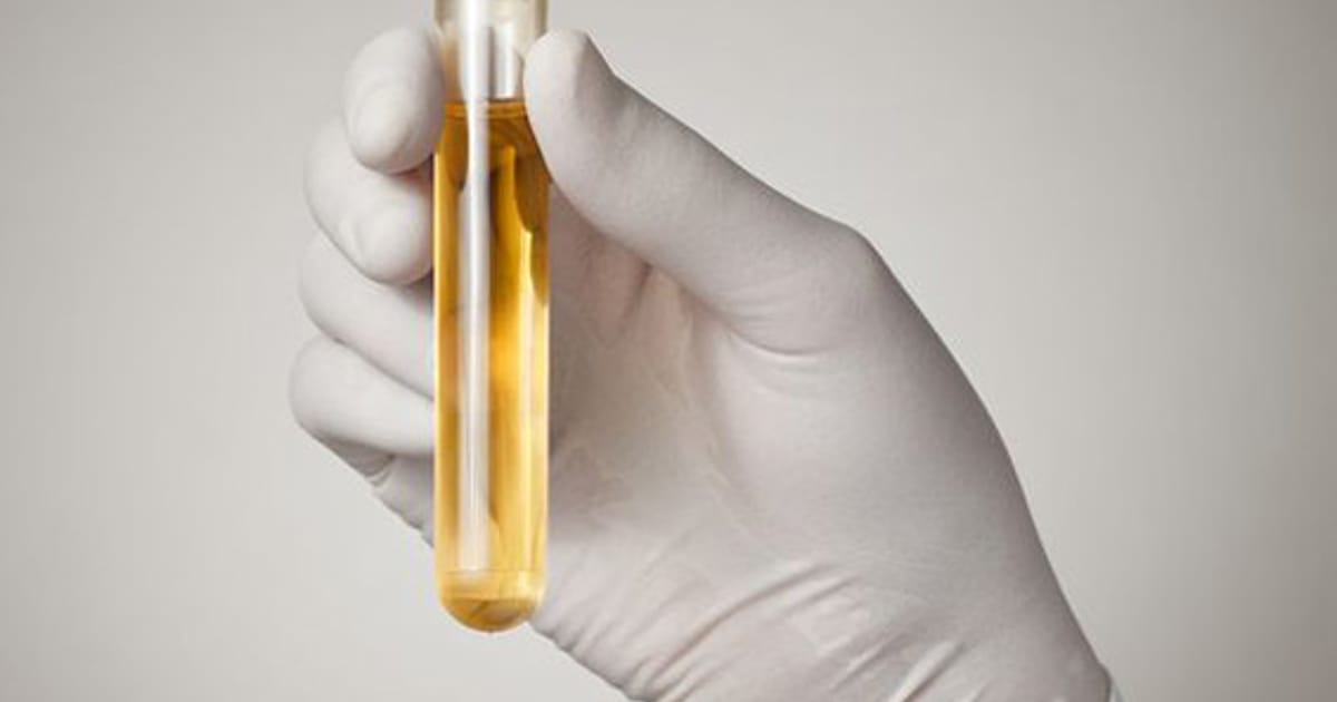 Beth Shawnee Shawnee, KS, USA, AccuScreen Inc. about.me