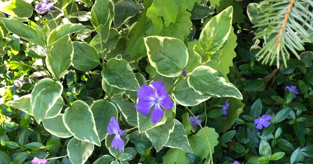 Alexandra Rush New York Metropolitan Area Douglass College Of alexandra-rush-new-york-metropolitan-area-douglass-college-of