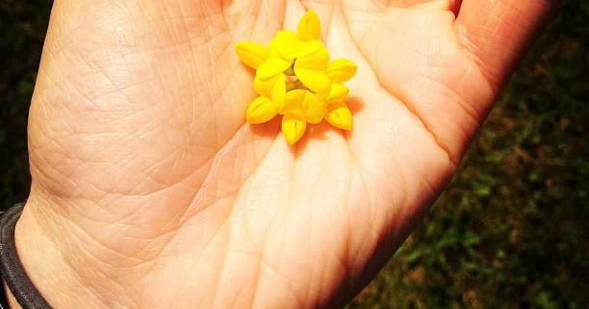 Amy Coulter Erie, PA, Simplistic Holistics Holistic Health Coaching