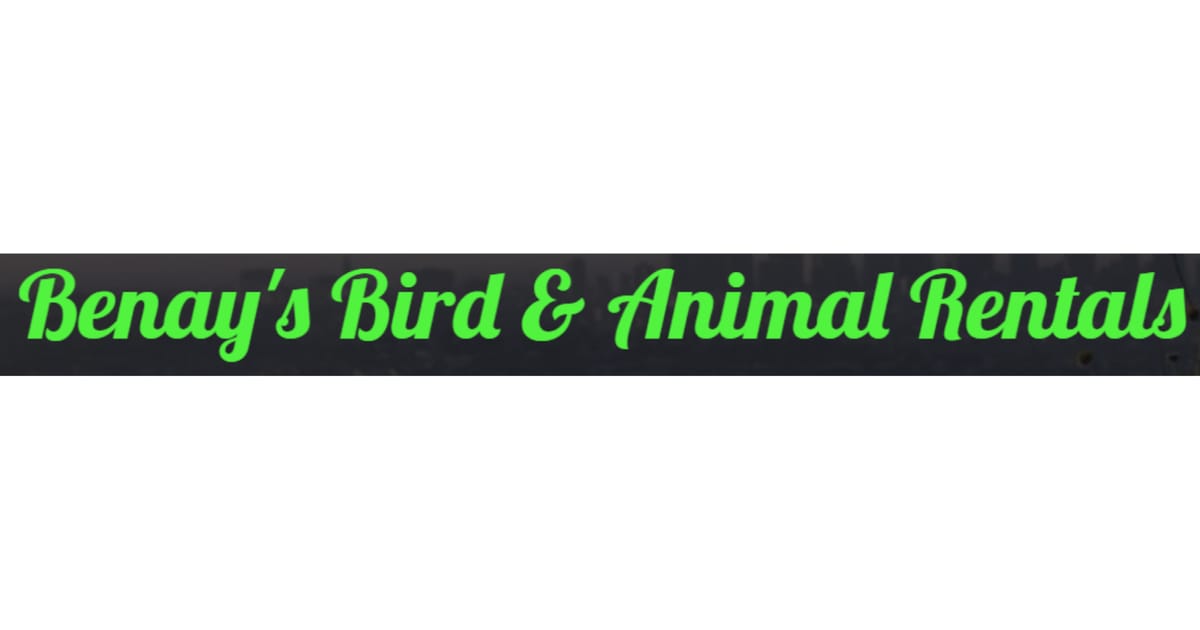 Benay's Bird & Animal Rentals USA about.me