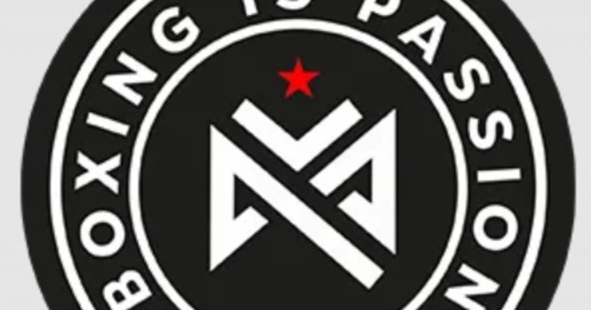 Boxing is Passion Professional Boxing Gloves 270 E Douglas Ave El