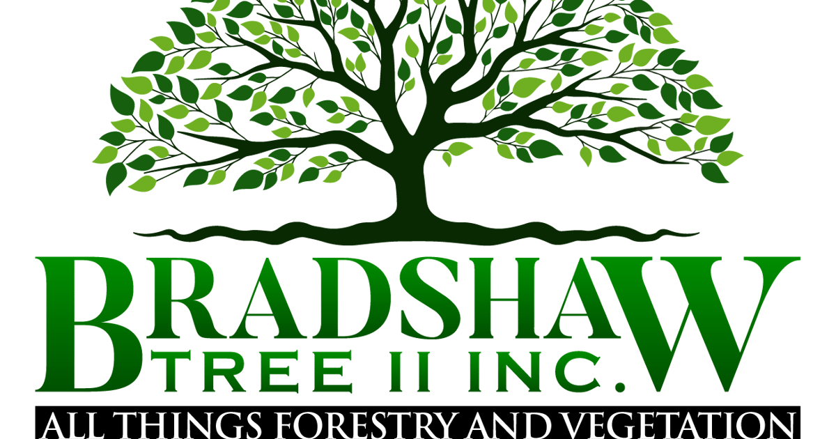Bradshaw Tree Inc 1128 Hwy 3 Sunflower, Mississippi, 38778 about.me