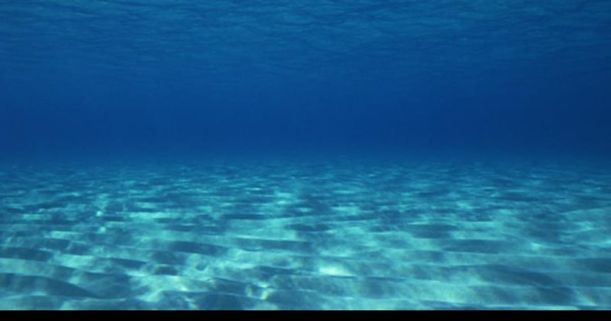 Buddy Willard England, www.willardenterprises.co.uk about.me