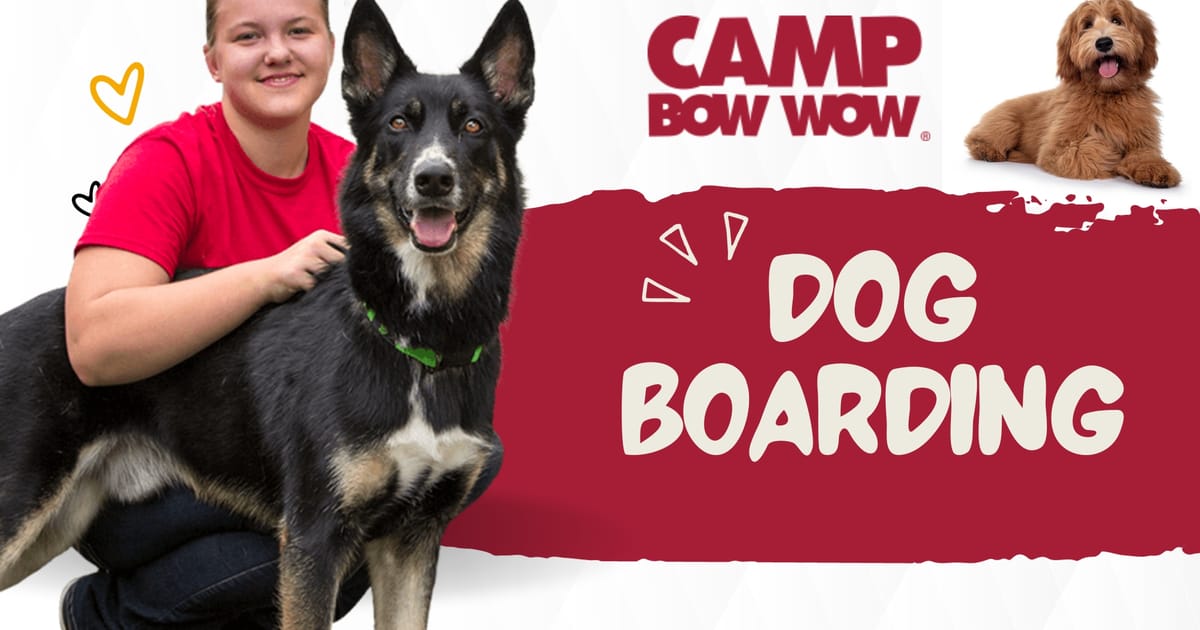 Camp Bow Wow Houston Hobby Houston about.me