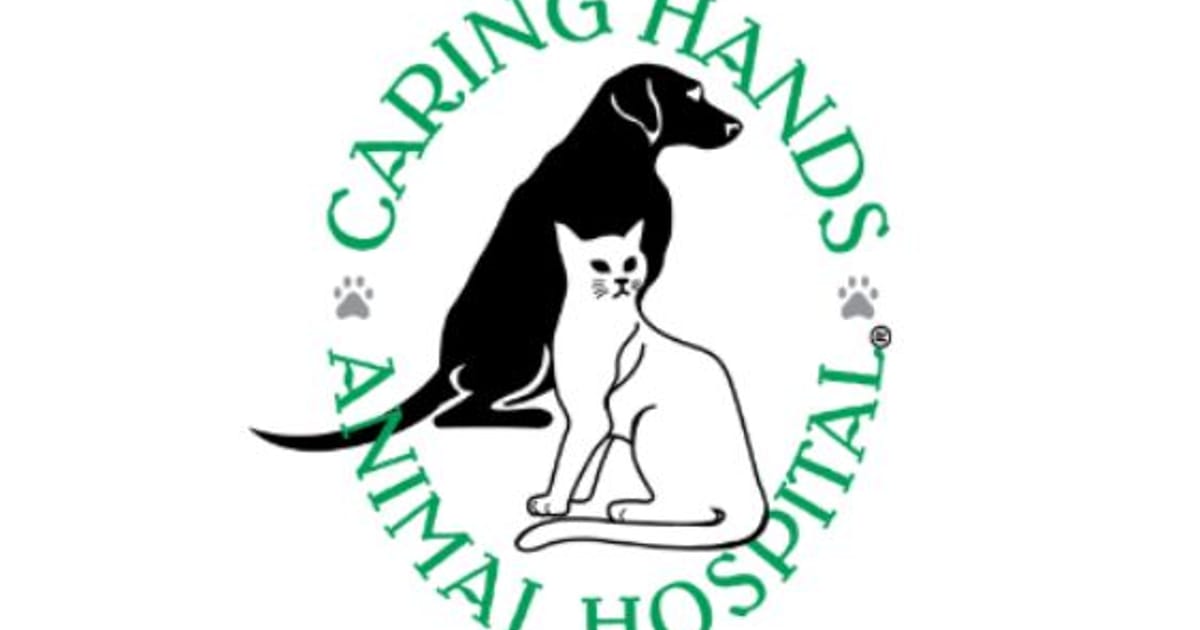 Caring Hands Animal Hospital 12733 Braemar Village Pz Bristow VA caring-hands-animal-hospital-12733-braemar-village-pz-bristow-va