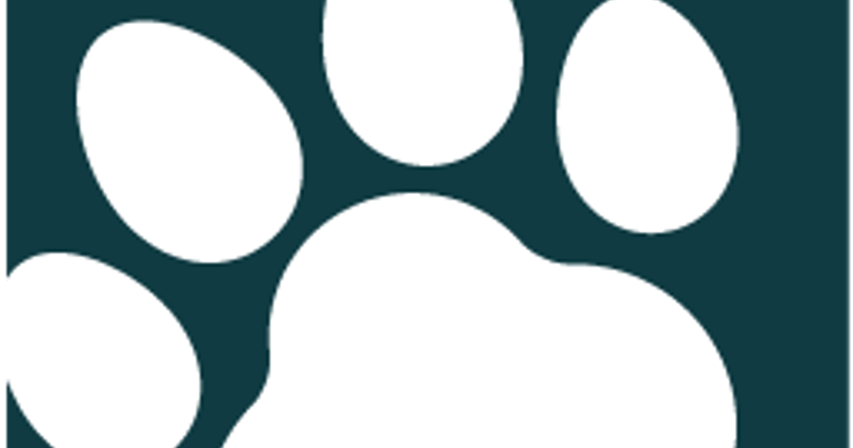 Coach Doggo United States about.me