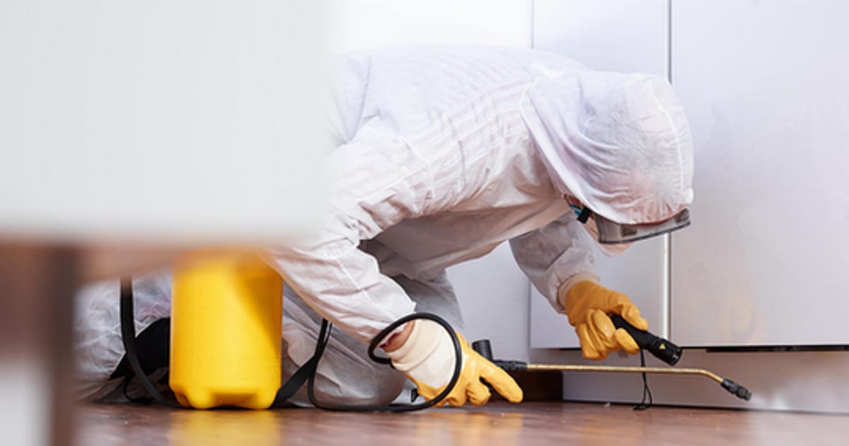 Commercial exterminators usa about.me